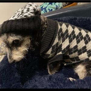 Meet your Posher, Mel